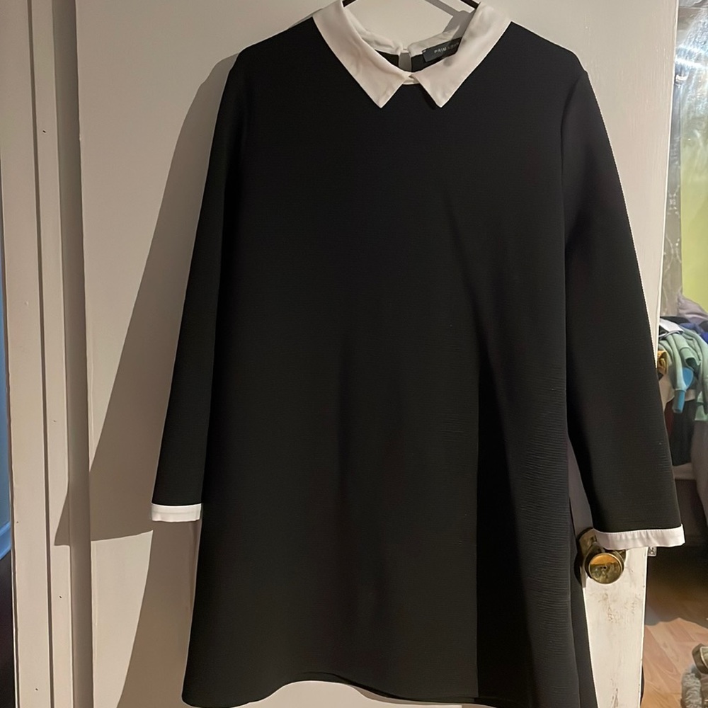 Black & White Collar dress